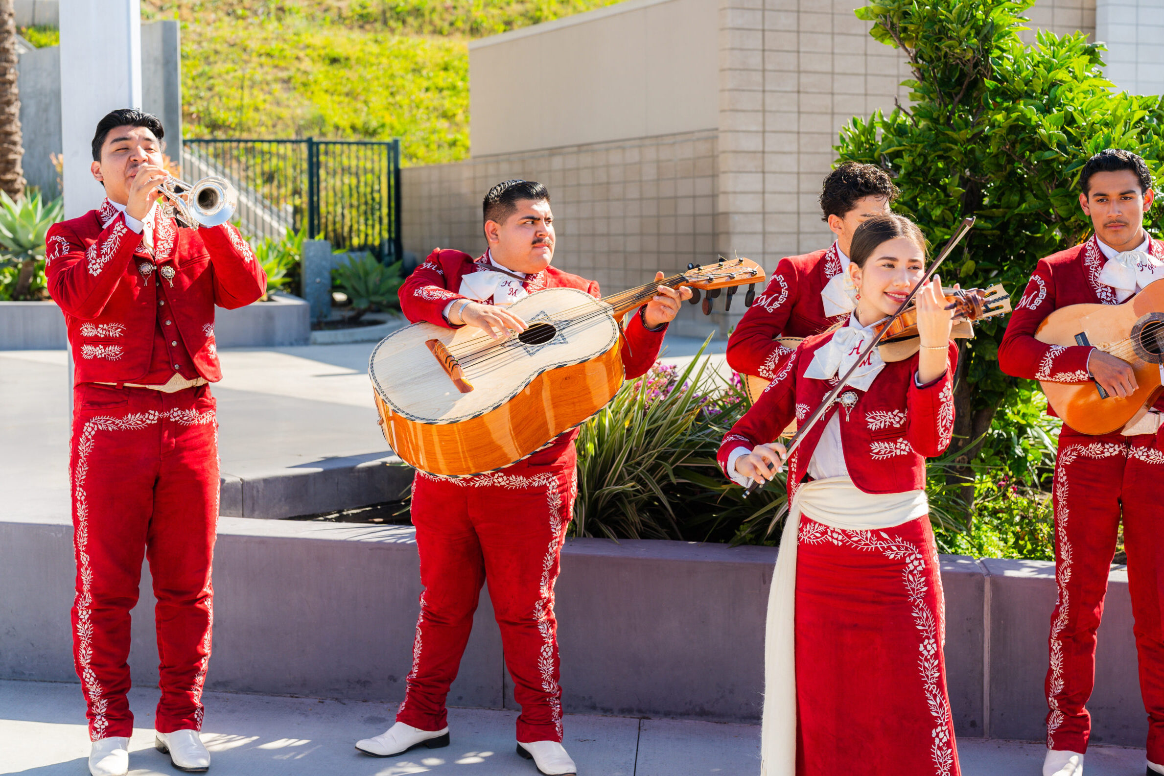 Taco Night Mariachi Band